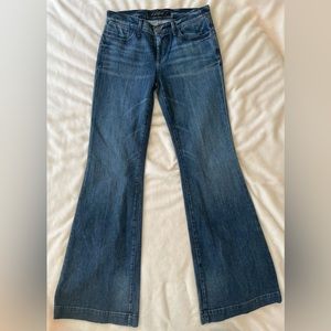 Gold Sign Jean, Never Worn